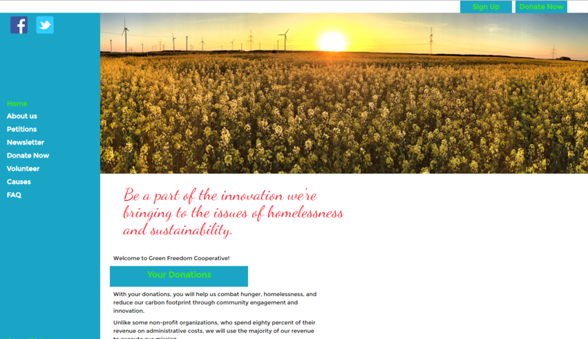 Picture of Green Freedom Cooperative's first website